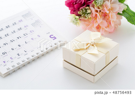 プレゼント 48756493