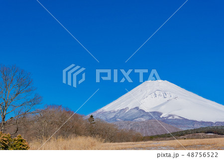 冬(3月)の富士山 48756522