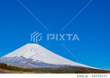 冬(3月)の富士山 48756525