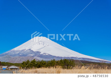 冬(3月)の富士山 冬(3月)の富士山 48756530