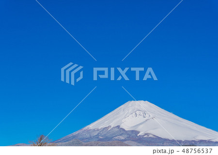 冬(3月)の富士山 冬(3月)の富士山 48756537