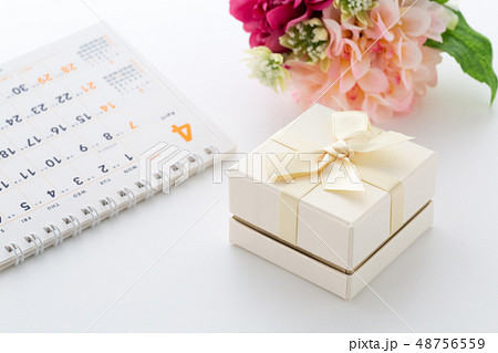プレゼント プレゼント 48756559