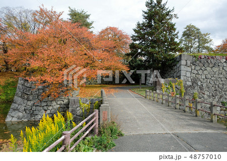 紅葉の山形城址 48757010