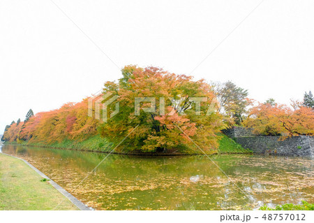 紅葉の山形城址 48757012
