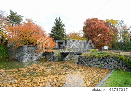 紅葉の山形城址 48757017