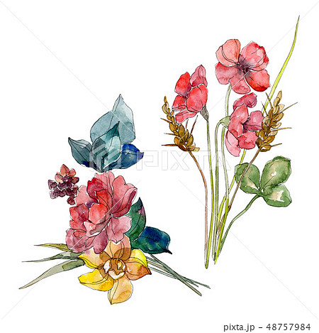 Wildflower bouquet floral botanical flowers. Watercolor background set. Isolated wildflower 48757984