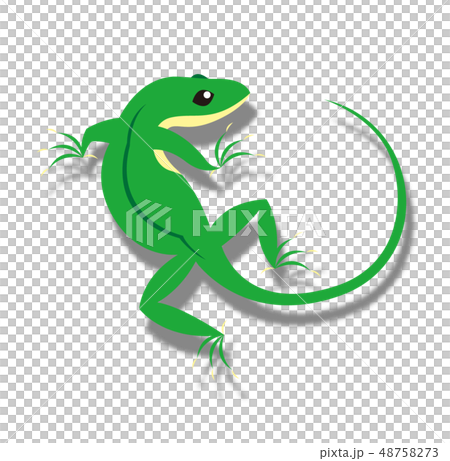 グリーンアノールのイラスト 48758273