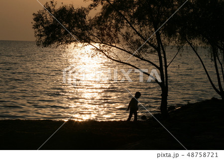 夕日 夕日 48758721