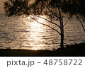 夕日 48758722