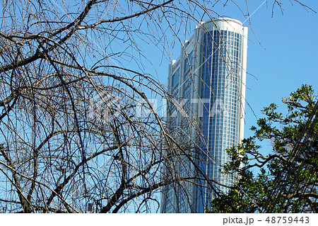 庭園から眺めた素敵な高層ビル 48759443