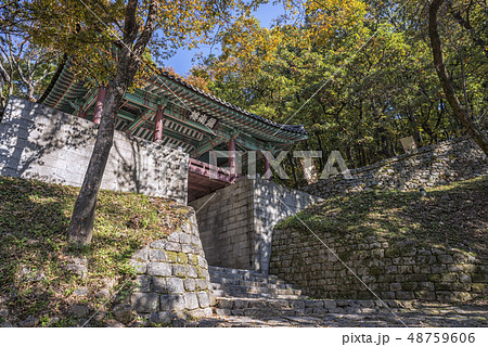 史跡 風景 木 48759606