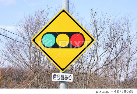 交通標識　信号機あり 48759639
