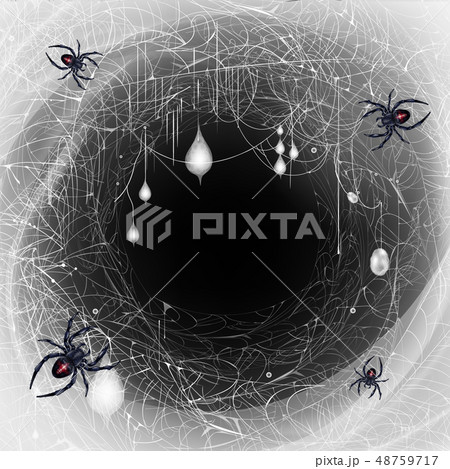 Black widow spiders nest 3d realistic vector 48759717
