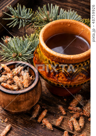 Tea with pine buds Tea with pine buds 48759926