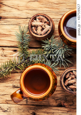 Tea with pine buds Tea with pine buds 48759927