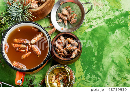 Cup of fresh herbal tea 48759930