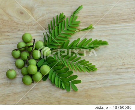 Top view of Indian gooseberry on a wooden floor 48760086