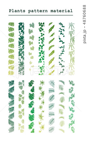 植物のライン素材 植物のライン素材 48760688