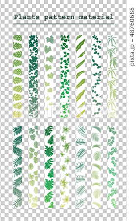 植物のライン素材 植物のライン素材 48760688