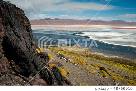 Laguna colorada with flamingos in the distance 48760916