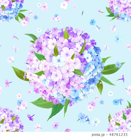 Flox flower seamless pattern 48761235