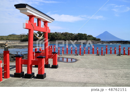 釜蓋神社（射盾兵主神社）　鳥居と開聞岳 48762151
