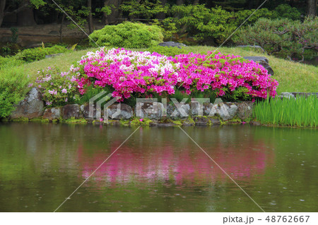 奈良依水園、雨の日のつつじ遊山 48762667