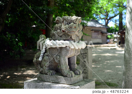 利倉春日神社の狛犬-6 48763224