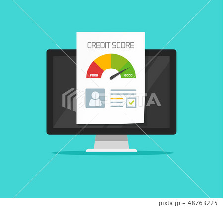 Credit score online report document on computer, flat cartoon digital ranking loan record on pc 48763225