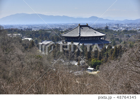 奈良奥山ドライブウェイから見た東大寺(奈良県奈良市) 奈良奥山ドライブウェイから見た東大寺(奈良県奈良市) 48764345