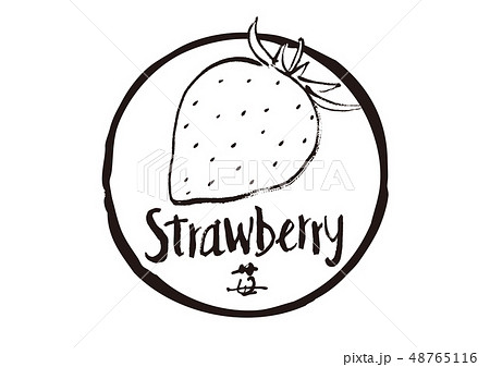 strawberry　苺　筆文字 48765116