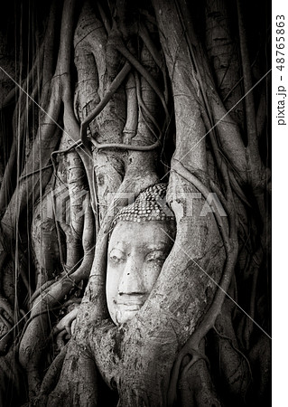 Buddha Head in Tree Roots, Wat Mahathat, Buddha Head in Tree Roots, Wat Mahathat, 48765863