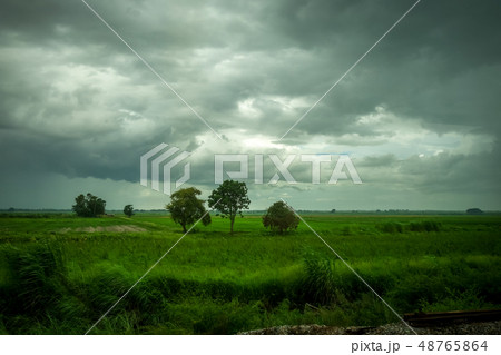 Field in the storm, Chiang Mai, Thailand Field in the storm, Chiang Mai, Thailand 48765864