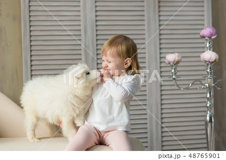 Portrait of blond baby girl play with husky puppy. Portrait of blond baby girl play with husky puppy. 48765901