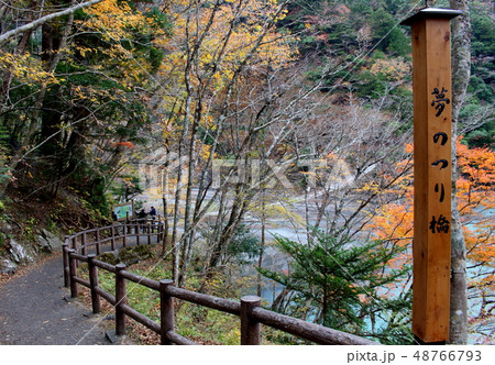 夢の吊り橋と紅葉 48766793