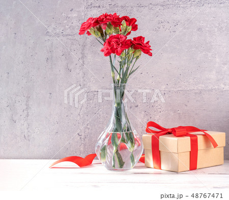 ギフト 贈答品 贈り物 48767471
