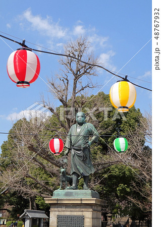 日本 上野公園の風景 日本 上野公園の風景 48767932