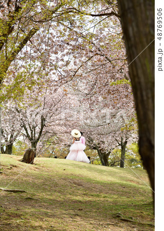 奈良公園の桜 48769506