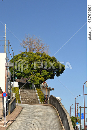横浜・本覚寺 横浜・本覚寺 48769604