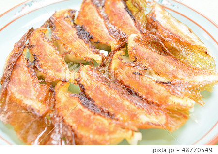 おいしい焼き餃子 48770549