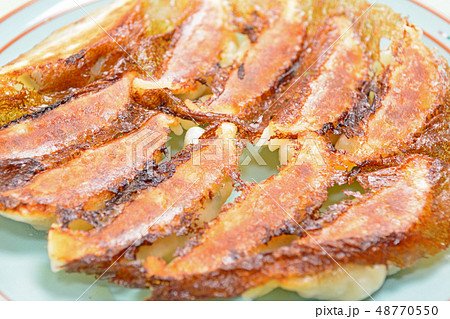 おいしい焼き餃子 48770550