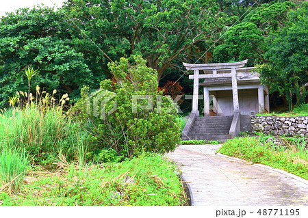 国吉神社 48771195