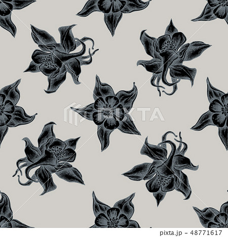 Seamless pattern with hand drawn stylized aquilegia Seamless pattern with hand drawn stylized aquilegia 48771617