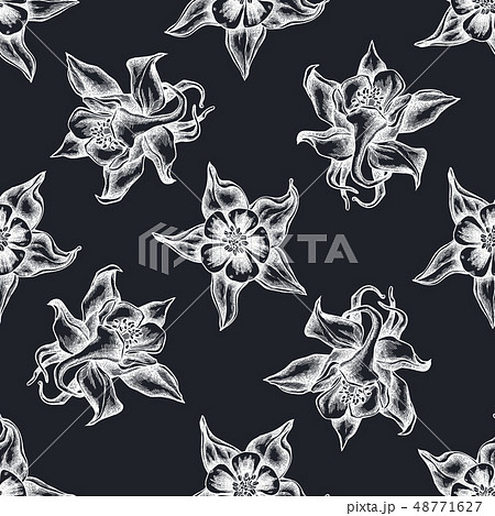 Seamless pattern with hand drawn chalk aquilegia Seamless pattern with hand drawn chalk aquilegia 48771627