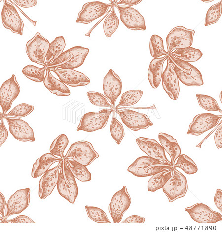 Seamless pattern with hand drawn pastel blackberry lily 48771890