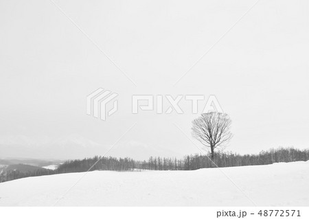 landscape of snow field on mountain in Hokkaido landscape of snow field on mountain in Hokkaido 48772571