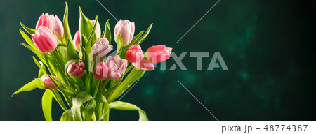 Bouquet of pink tulips Bouquet of pink tulips 48774387