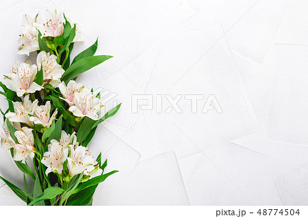 Delicate flowers of Alstroemeria Delicate flowers of Alstroemeria 48774504