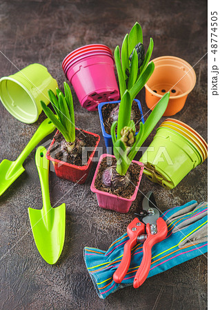 Spring flowers with gardening tools Spring flowers with gardening tools 48774505