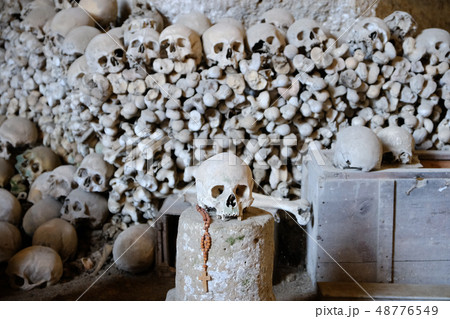 Skull and bones 48776549